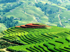 Beauty of Sapa, Vietnam