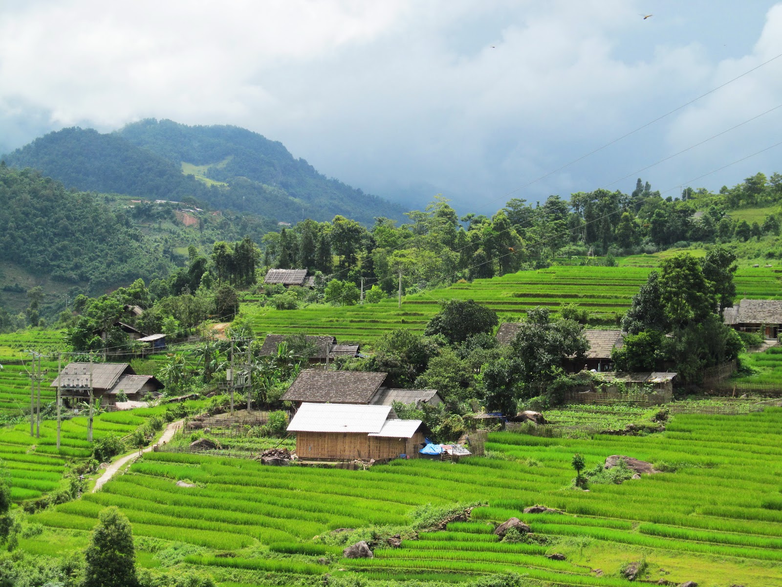 Ban Ho Village – Sapa Travel Guide
