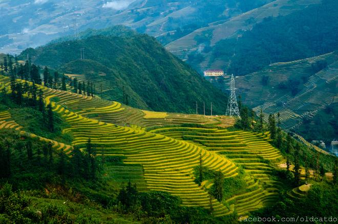 Sa Pa terraced fields on list of the world’s most beautiful places