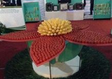 Agriculture and Craft Village Fair to be held in Hanoi