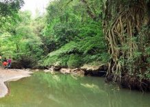 Vietnam’s Phong Nha botanical garden opens to tourists for free