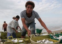 Phuoc Hai Village an ideal getaway from tourism hotspot