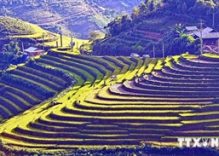 Sapa’s terraced fields among world’s most beautiful destinations