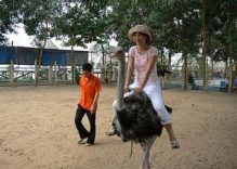 Ecotourism booms in Tien River