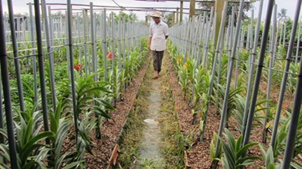 Glimpsing colours of Tet