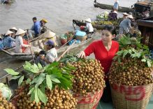 Top 5 attractive floating markets in Vietnam