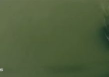 Filmmakers showcase Danang City