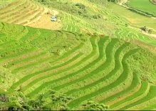 Muong Khuong, Bat Xat – new destinations in Lao Cai province