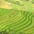 Muong Khuong, Bat Xat – new destinations in Lao Cai province