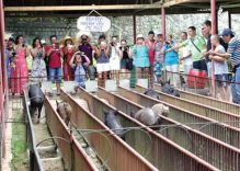 Call to extend visa-free status for W. Europe