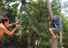 Farm tours delight tourists in southern Vietnam