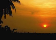 Experiencing a true southern lifestyle