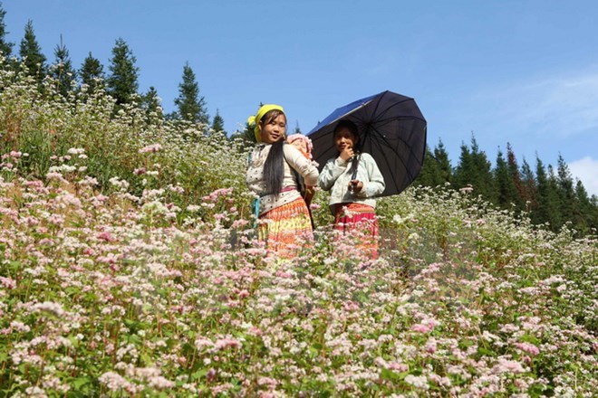 Ha Giang to offer free wifi in major tourist destinations